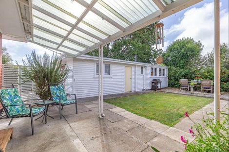 Photo of property in 20 Duke Street, Levin, 5510