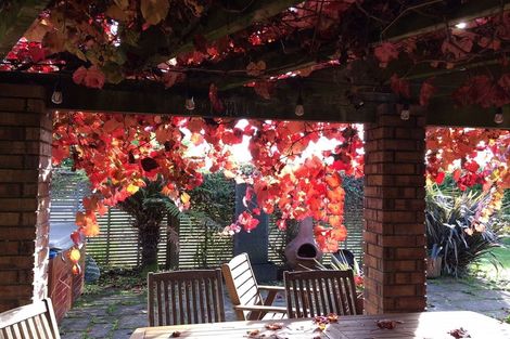 Photo of property in 55 West Street, Morrinsville, 3372