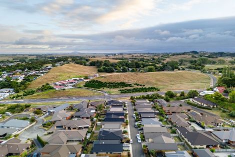 Photo of property in 12 Taotahi Avenue, Dinsdale, Hamilton, 3204