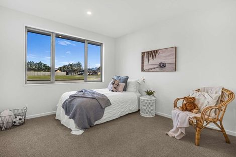 Photo of property in 24 Memorial Crescent, Methven, 7730