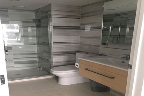 Photo of property in 502/10 Lion Place, Epsom, Auckland, 1023
