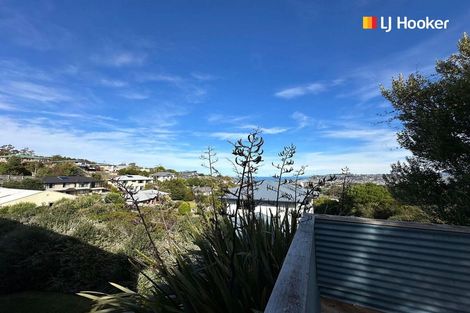 Photo of property in 213 Somerville Street, Shiel Hill, Dunedin, 9013