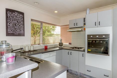 Photo of property in 26a Windsor Street, Terrace End, Palmerston North, 4410