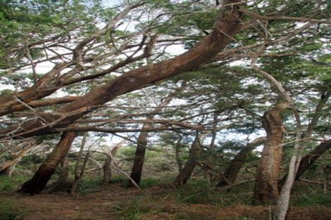 Photo of property in 63 Trig Road, Houhora, Kaitaia, 0484