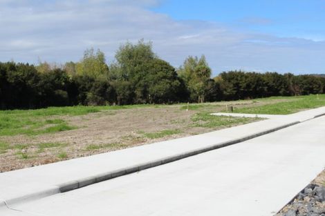 Photo of property in 111 Mangawhai Heads Road, Mangawhai Heads, Mangawhai, 0573