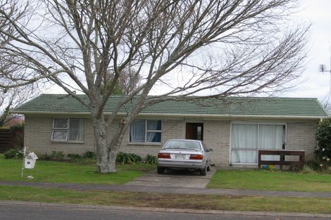 Photo of property in 19 Holmes Street, Nawton, Hamilton, 3200