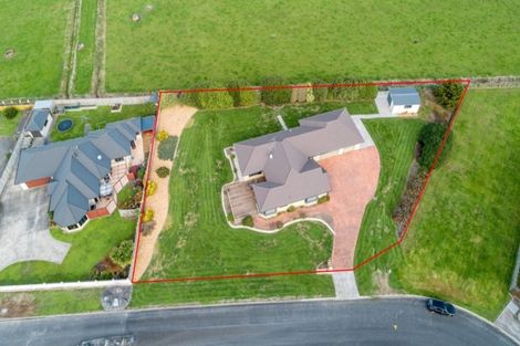 Photo of property in 18 Harris Place, Ngatea, 3503