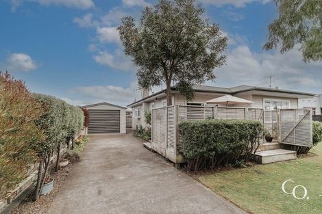 Photo of property in 420 Hemi Street, Raureka, Hastings, 4120