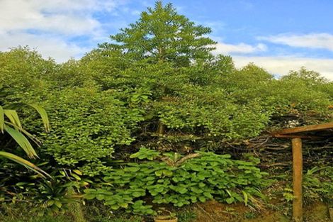 Photo of property in 76 Top Town Place, Coromandel, 3506