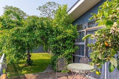 Photo of property in 3 Liverpool Street, Solway, Masterton, 5810