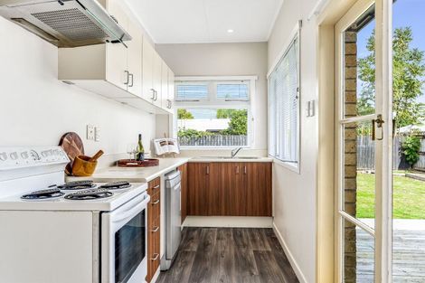 Photo of property in 5 Winter Street, Fairfield, Hamilton, 3214