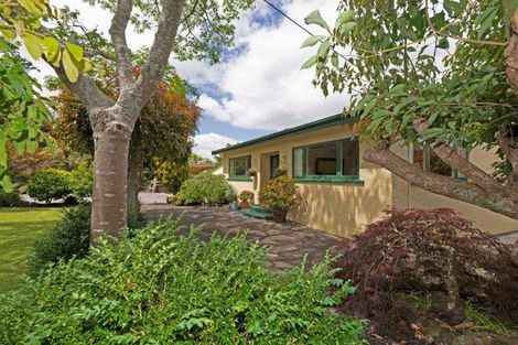 Photo of property in 20 Sherrybrooke Place, Sunnyvale, Auckland, 0612