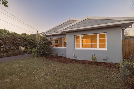 Photo of property in 12 Jameson Avenue, St Albans, Christchurch, 8052