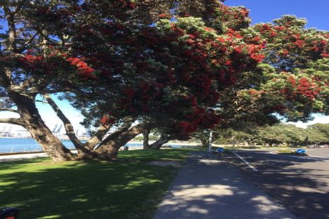 Photo of property in 21 Buchanan Street, Devonport, Auckland, 0624