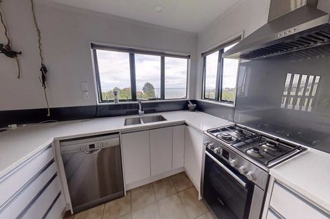 Photo of property in 135 Priestley Terrace, Bluff Hill, Napier, 4110
