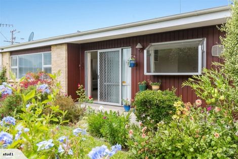Photo of property in 96a Ngatai Road, Otumoetai, Tauranga, 3110