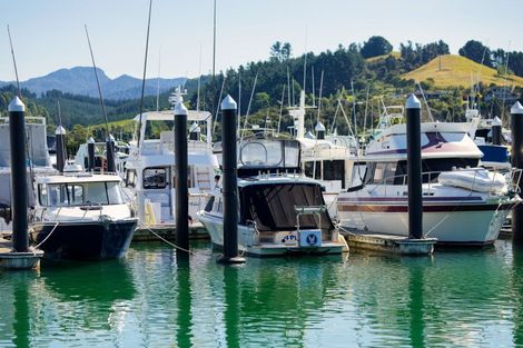 Photo of property in 105 Elsinore Close, Whangamata, 3620