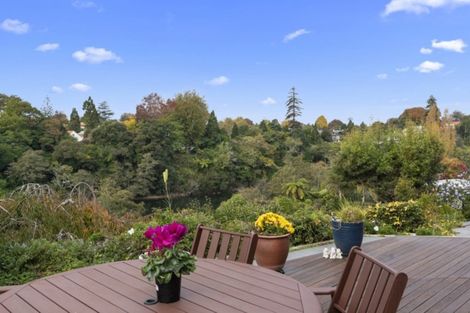 Photo of property in 12a Clifton Road, Hamilton Central, Hamilton, 3204