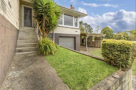 Photo of property in 163 Arapuni Street, Putaruru, 3411