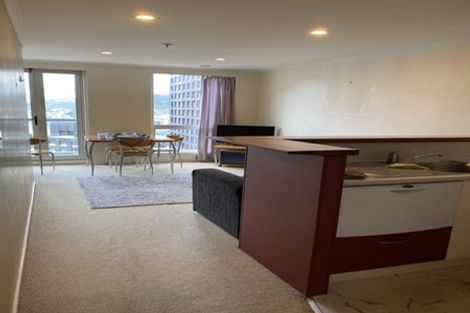 Photo of property in Terrace Heights Apartments, 13e/163 The Terrace, Wellington Central, Wellington, 6011
