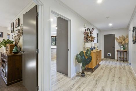 Photo of property in 1 Pratt Street, Waikouaiti, 9510