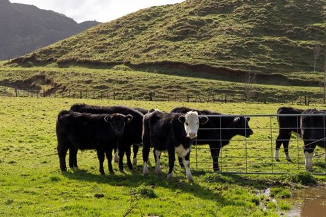 Photo of property in 200a Moanui Road, Matawai, 4075