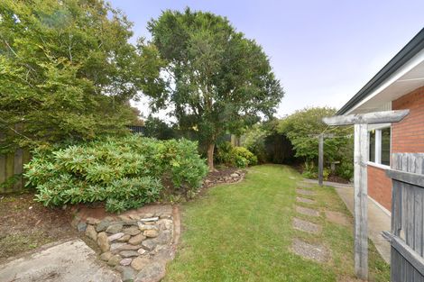 Photo of property in 41 Mckerrow Street, Shiel Hill, Dunedin, 9013