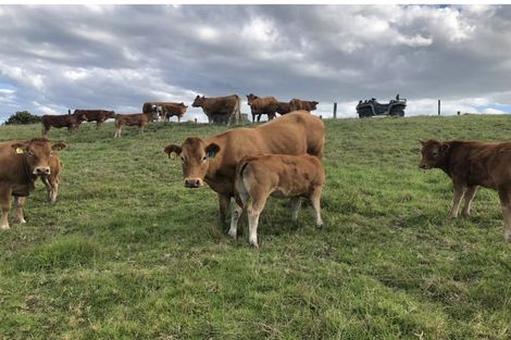 Photo of property in 492 Wairere Road, Paparoa, 0571