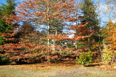 Photo of property in 187 Breakneck Road, Herbert, Oamaru, 9495