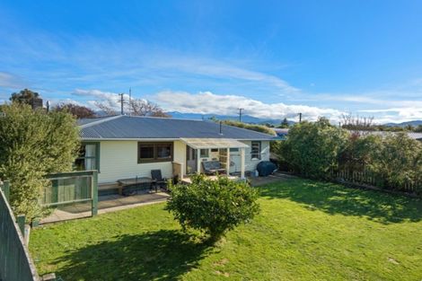 Photo of property in 6 Agincourt Street, Renwick, 7204