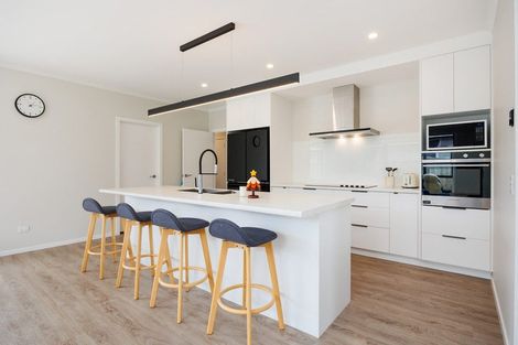 Photo of property in 62 Accolade Street, Maewa, Feilding, 4702