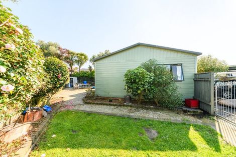 Photo of property in 74 Wyndham Street, Ashhurst, 4810