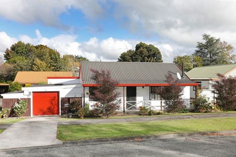 Photo of property in 11a Milne Street, Marton, 4710