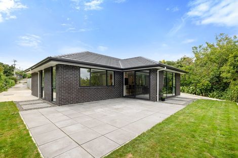 Photo of property in 278a Tukapa Street, Hurdon, New Plymouth, 4310