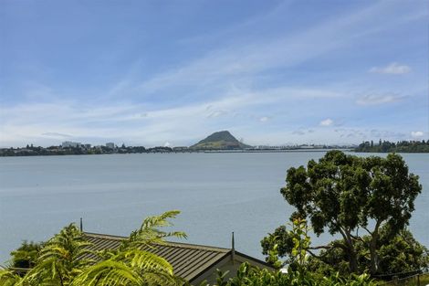 Photo of property in 266 Maungatapu Road, Maungatapu, Tauranga, 3112