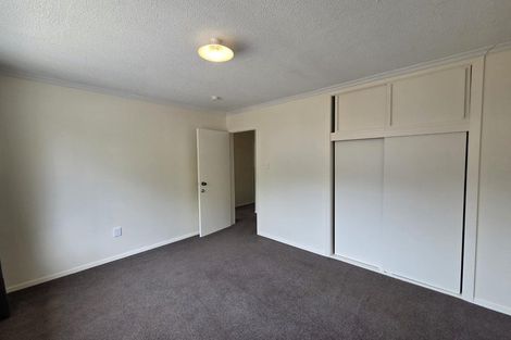 Photo of property in 60 Aldwins Road, Phillipstown, Christchurch, 8062