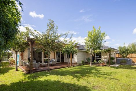 Photo of property in 53 Meadowfield Street, Flagstaff, Hamilton, 3210