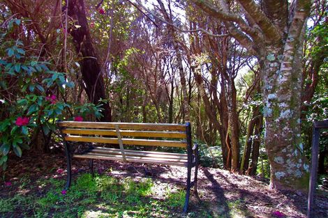 Photo of property in 17 Northcote Street, Wainuiomata, Lower Hutt, 5014