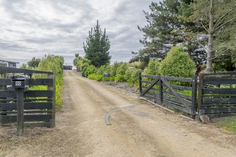 Photo of property in 90 Bergin Road, Foxton, 4814
