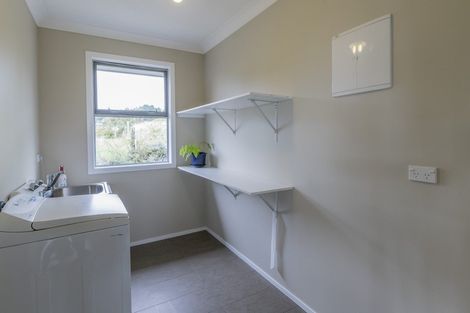 Photo of property in 90 Bergin Road, Foxton, 4814