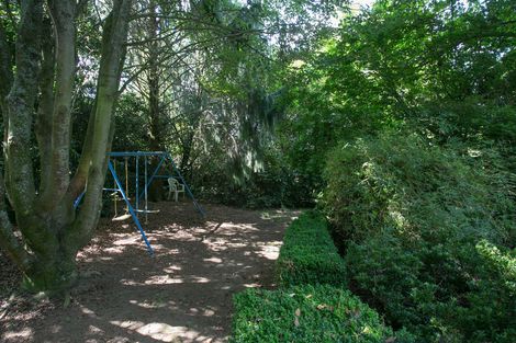 Photo of property in 8 Mclarnon Road, Cambridge, 3495