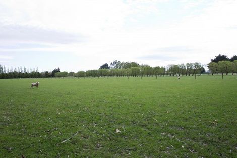 Photo of property in 73 Simon Road, Winton, 9781