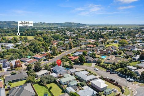 Photo of property in 175 Cameron Road, Te Puke, 3119