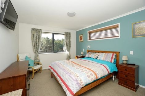 Photo of property in 213a Letts Gully Road, Letts Gully, Alexandra, 9393