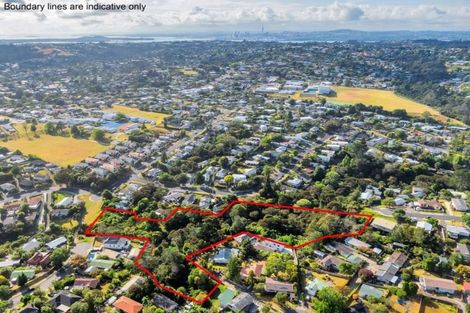 Photo of property in 60 Tiri Tiri Road, Birkdale, Auckland, 0626