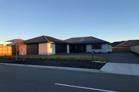 Photo of property in 4 Marionberry Lane, Richmond, 7020