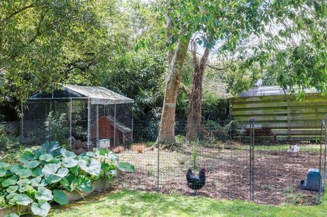 Photo of property in 50 Huxley Street, Pahiatua, 4910