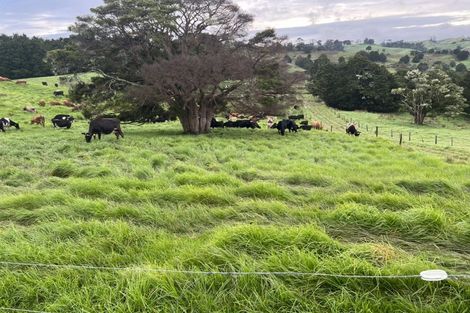 Photo of property in 492 Wairere Road, Paparoa, 0571