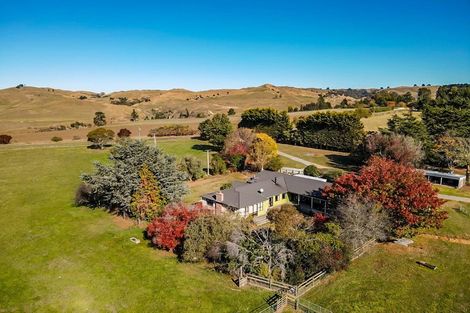 Photo of property in 546 Salisbury Road, Maraekakaho, Hastings, 4171