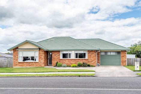 Photo of property in 370 Mandeno Street, Te Awamutu, 3800